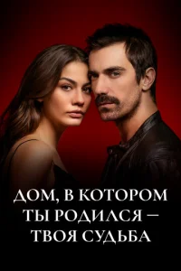 Д0ʍ, в k0τ0p0ʍ τӹ p0дuлсᴙ - τв0ᴙ сyдbбa